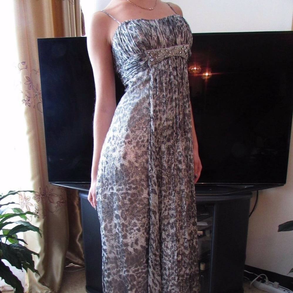 Cachet prom evening dress size 4 retail $250